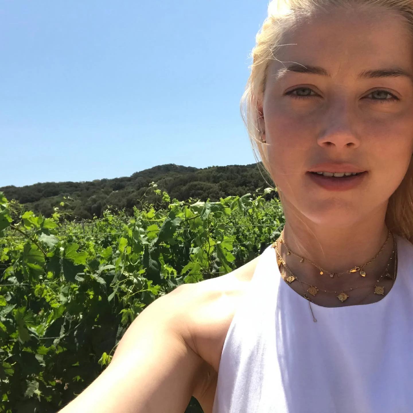 Amber Heard lesser known facts